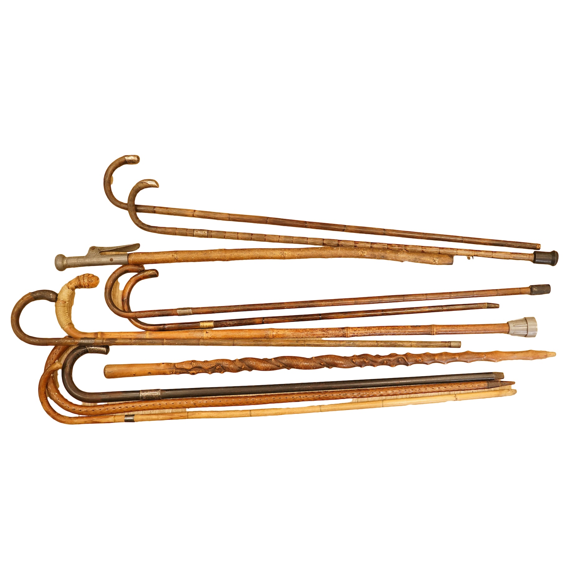 A collection of eleven carved walking sticks, some silver mounted